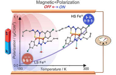 Room-temperature pyroelectric crystal based on a neutral iron(III) spin-crossover compound 2026.101013